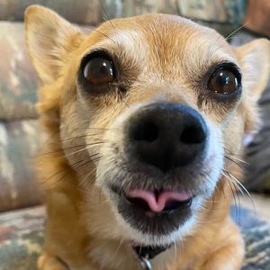 Meet your Posher, Kendra